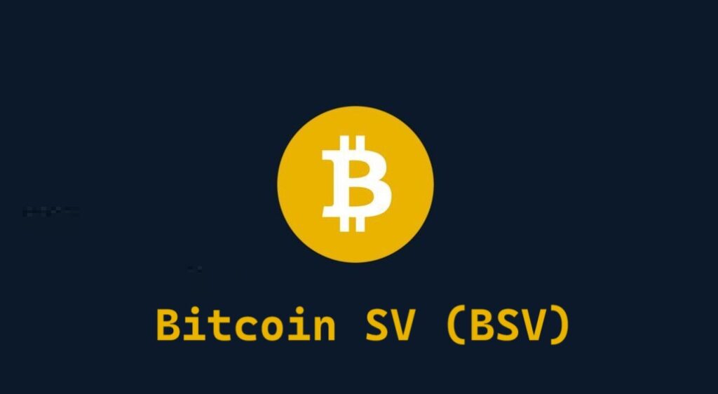 Bitcoin SV (BSV)