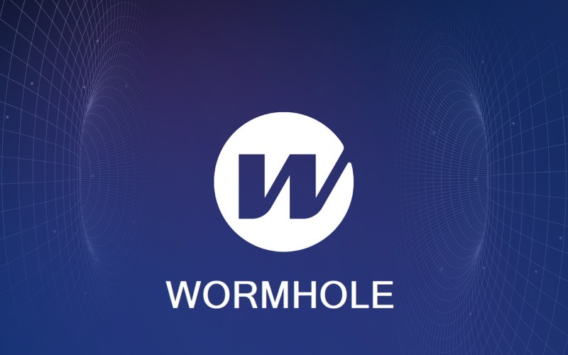 What is Wormhole (W)_Argoox